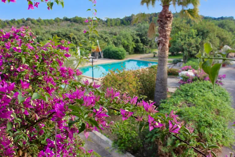 Jardines con buganvillas y vistas al campo de Manacor