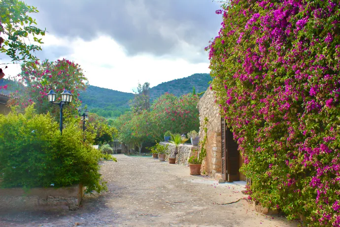 Camino empedrado y jardines de Can Patró